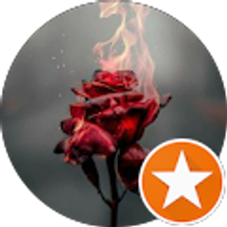 Profile photo of Bruce H