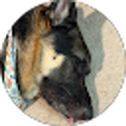 Profile photo of Allison Shephard