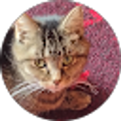 Profile photo of Jeff Limpert