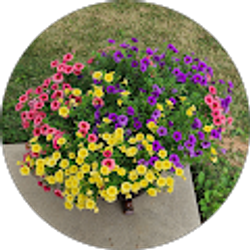 Profile photo of Kathy Smith