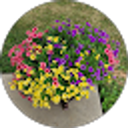 Profile photo of Kathy Smith