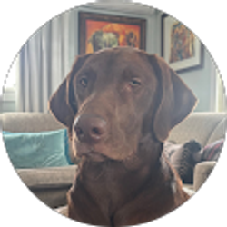 Profile photo of Juju Jansen