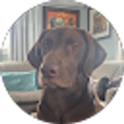 Profile photo of Juju Jansen