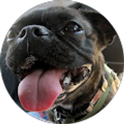 Profile photo of Mary Franks