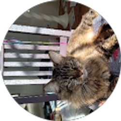 Profile photo of Direct Current