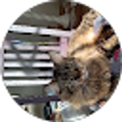 Profile photo of Direct Current