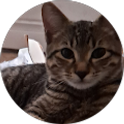 Profile photo of Mila's Mommy