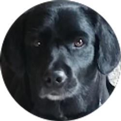 Profile photo of Sandy Elliott