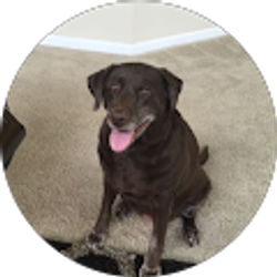 Profile photo of Mckayla Vietmeier