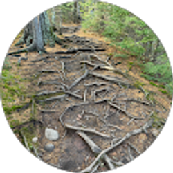 Profile photo of Missing MT