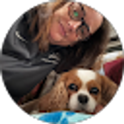 Profile photo of Jody Cosimano