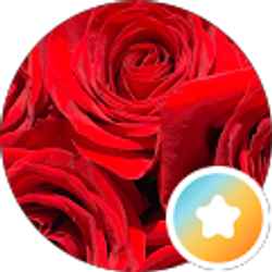 Profile photo of L B