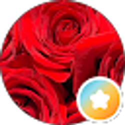 Profile photo of L B