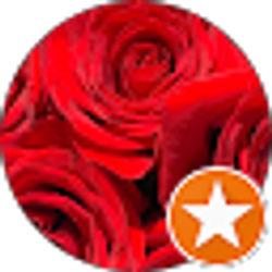 Profile photo of L B