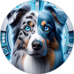 Profile photo of Jorge de la Torre