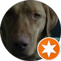 Profile photo of Sky Miller