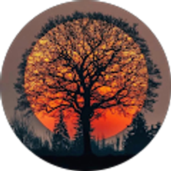 Profile photo of colin thomure