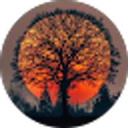 Profile photo of colin thomure