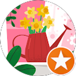 Profile photo of Cathy Stinchfield