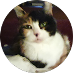 Profile photo of Linda Massee