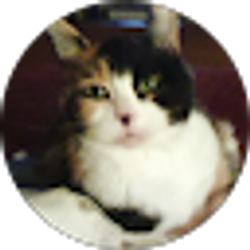 Profile photo of Linda Massee