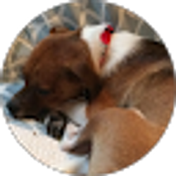 Profile photo of Rachael Schiffbauer Parker