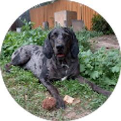 Profile photo of Mike Fein