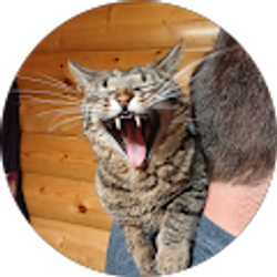 Profile photo of Jenni