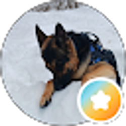 Profile photo of Tim B