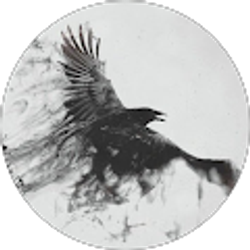 Profile photo of Taylor Buccello