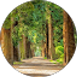 Profile photo of eric coyazo