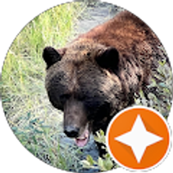 Profile photo of Art Katen