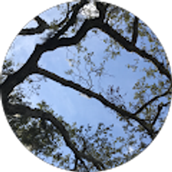 Profile photo of Trey Barnes