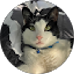 Profile photo of lucy lu