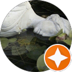 Profile photo of Vadim Barboza