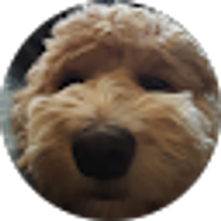 Profile photo of Zoe Raeder