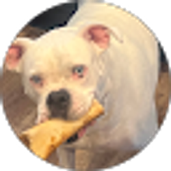 Profile photo of Jacqueline Herrera-Baroldy