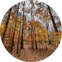 Profile photo of Owen Holton