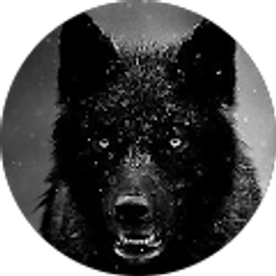 Profile photo of Courtney Easley