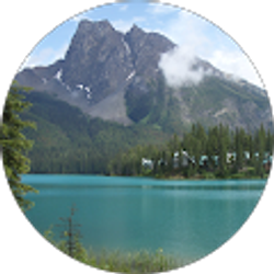 Profile photo of David Kovach