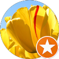 Profile photo of Jennifer Ladeau