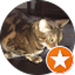 Profile photo of Angela Nevarez