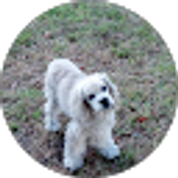 Profile photo of Allen Jones