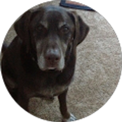 Profile photo of Jonathan Latchford