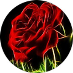 Profile photo of Savannah Casillas