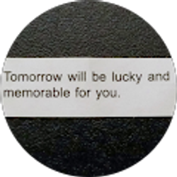 Profile photo of Dana Smego