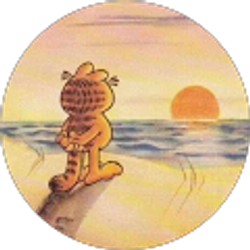 Profile photo of Dylan Zimmerman