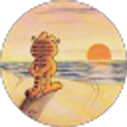 Profile photo of Dylan Zimmerman