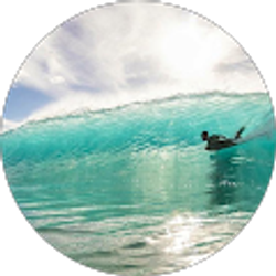 Profile photo of quignon LeChamp (KioneHo)