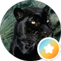 Profile photo of Nikki Raw